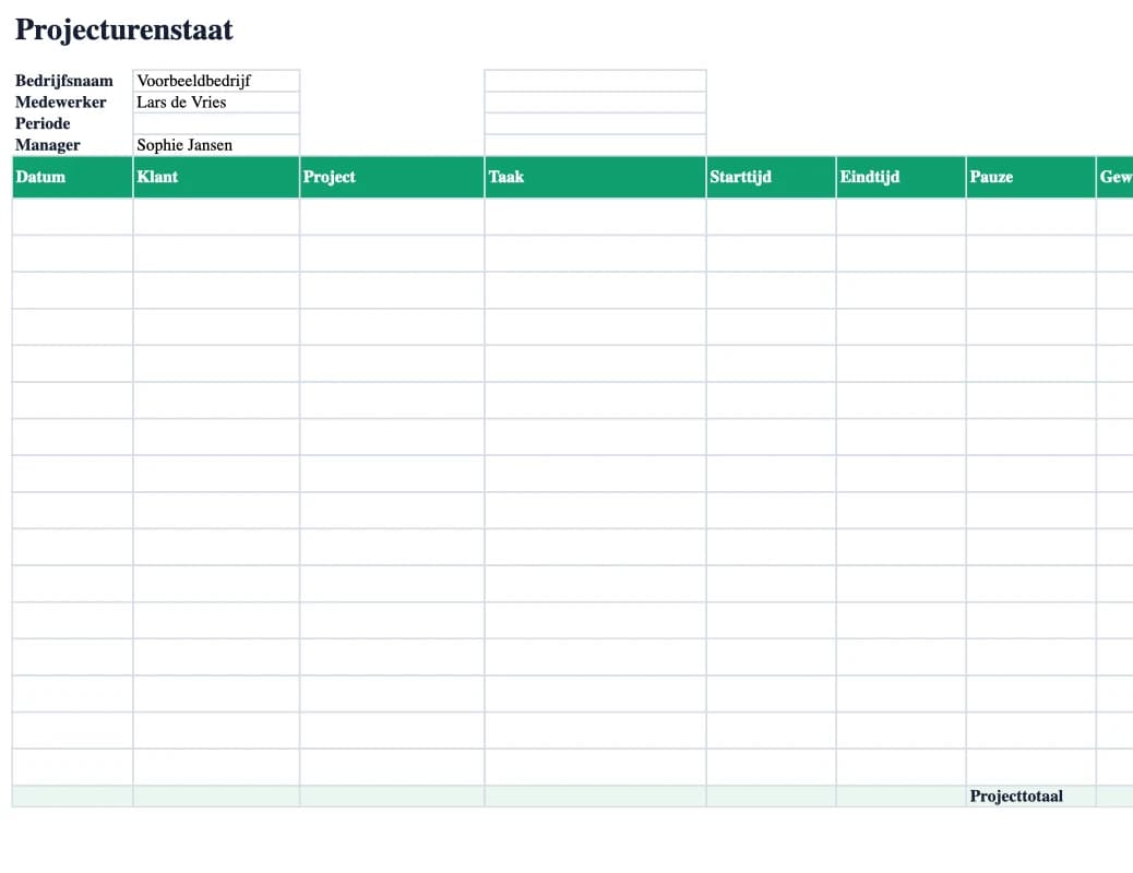 Excel-preview: Projecturenstaat