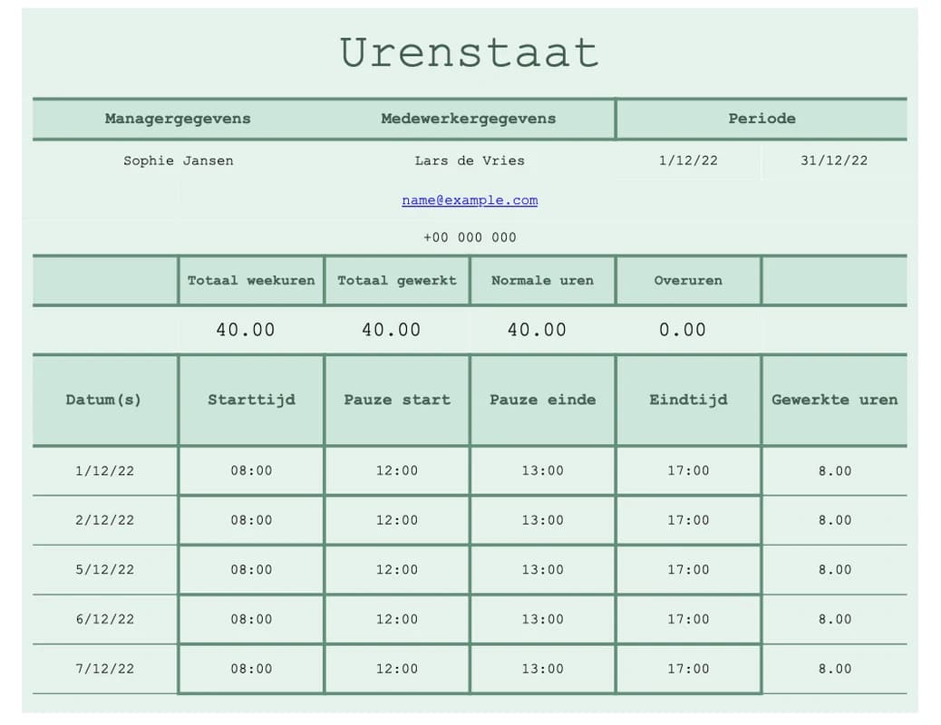 Voorbeeld van een Excel werkblad voor projecturen